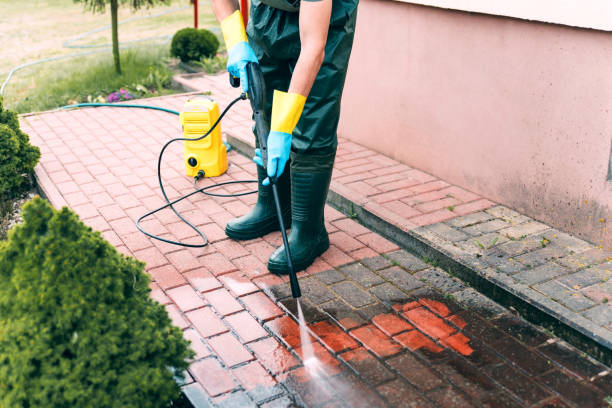Best Dumpster Area Cleaning  in Penitas, TX