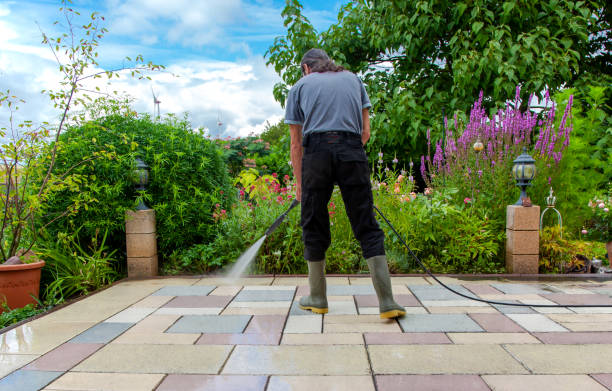 Best Restaurant Pressure Washing  in Penitas, TX