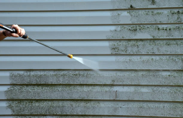 Best Factory Floor Cleaning  in Penitas, TX