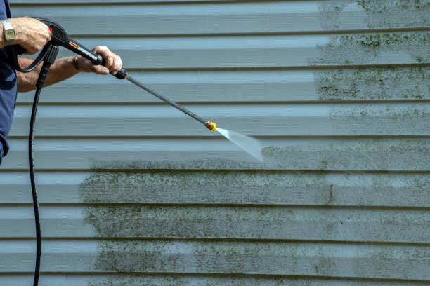 Best Post-Construction Pressure Washing  in Penitas, TX