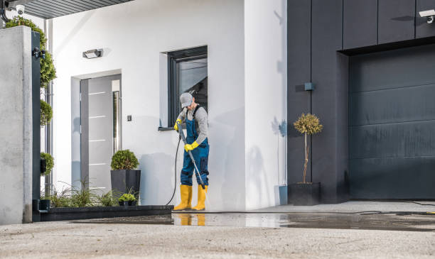Best Spring Cleaning  in Penitas, TX